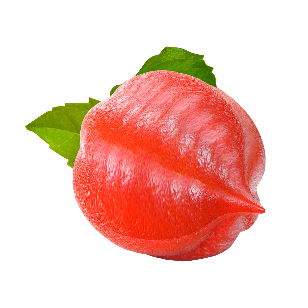 Extracto de guaraná