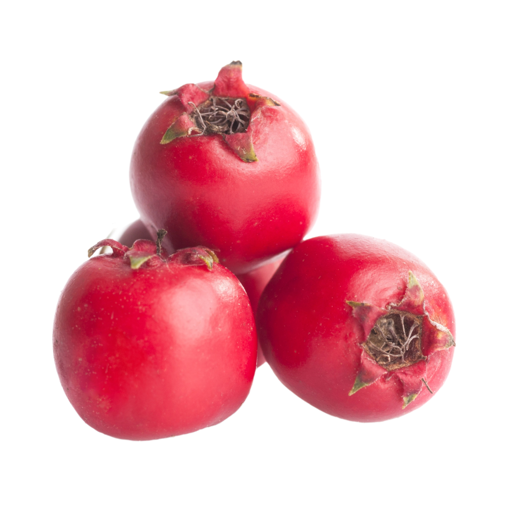 Extracto de espino amarillo