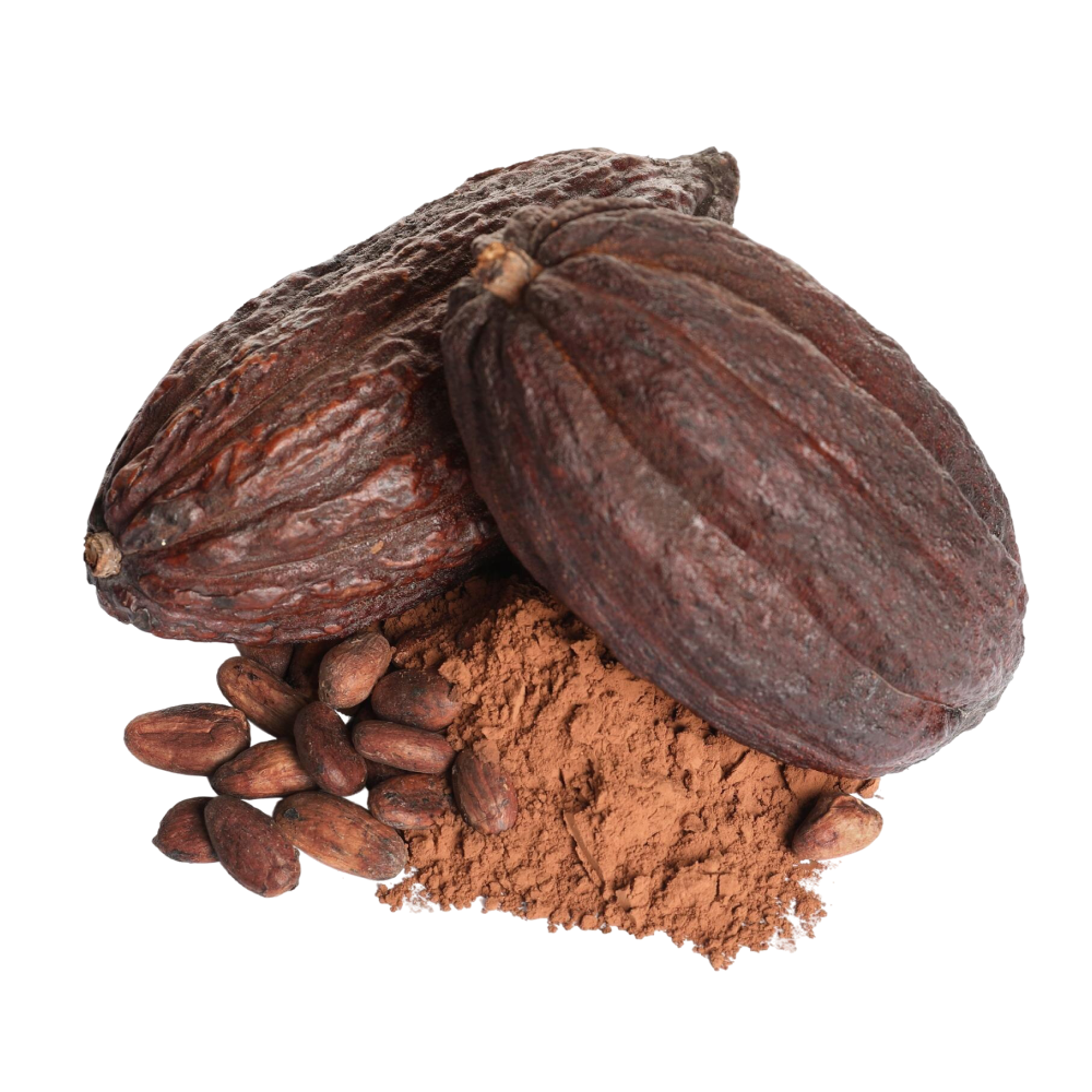 Extracto de cacao