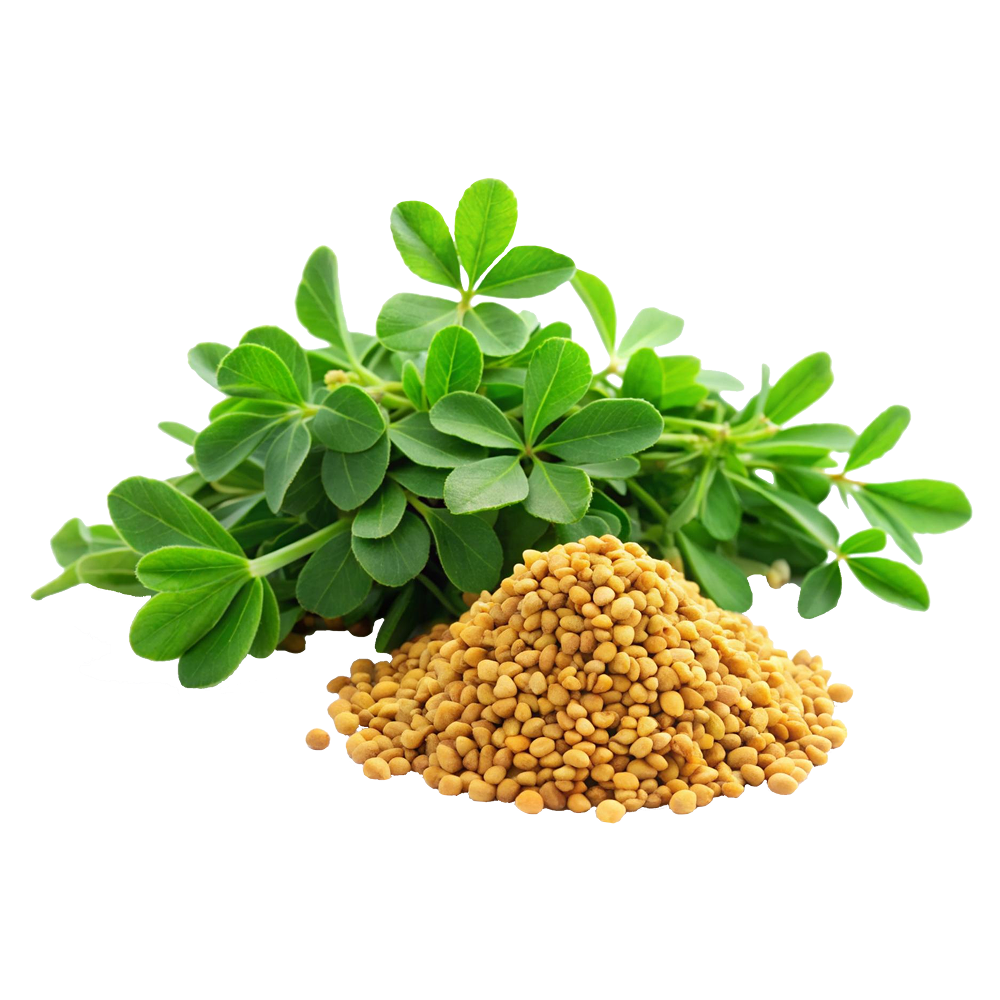 Fenogreco